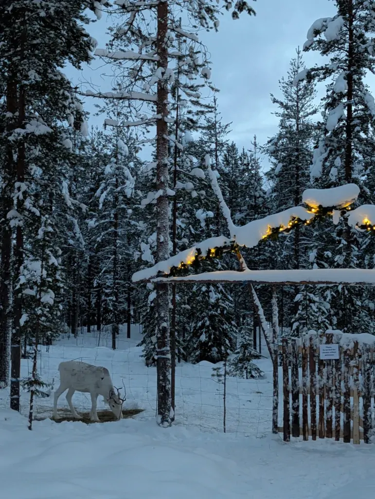 Guest photo from NOA Villas